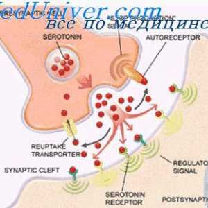 Ekscitatornih sinaps in inhibitorne receptorje. sinoptične mediatorji