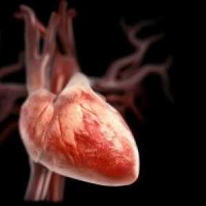 Patologija srca ventili med nosečnostjo