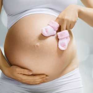 Driska je v tretjem trimesečju nosečnosti
