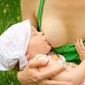 Pravilno zgrabi prsi novorojenček
