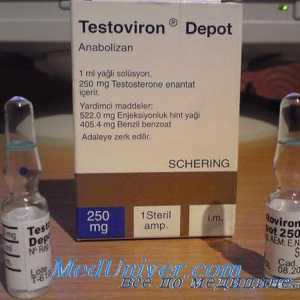 Pripravki testosterona. Methyltestosterone, testobromlitsit in Sustanon