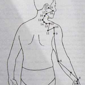 Lokacija in anatomija telesa točk za aromaterapijo. Meridian tankega črevesa