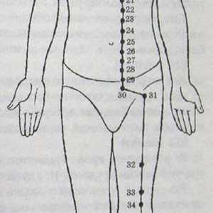 Lokacija in anatomija telesa točk za aromaterapijo. želodec Meridian