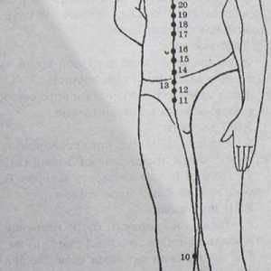 Lokacija in anatomija telesa točk za aromaterapijo. ledvice Meridian