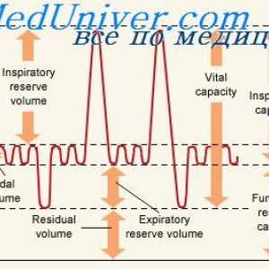 Respiratorni volumen minuto. alveolarni prezračevanje