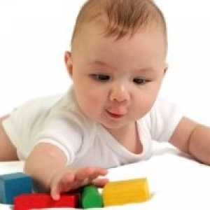 Razvoj otroka od 1. in 7 mesecev do 1 leto in 9 mesecev: motorične sposobnosti, ustvarjalnost,…