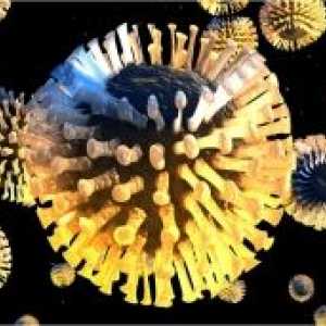 Rotavirus pri otrocih: zdravljenje, simptomi, znaki, preventiva kot kurativa