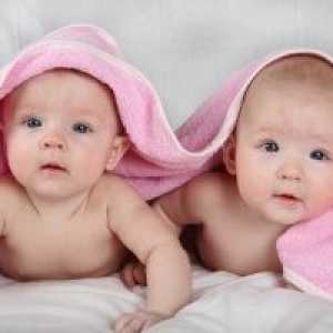 Rojstvo dvojčkov je verjetnost rojstva