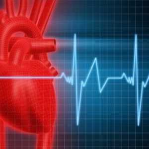Sinusna tahikardija srca: zdravljenje, simptomi, vzroki, simptomi