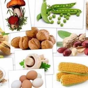 Seznam dovoljenih živil za gastritis
