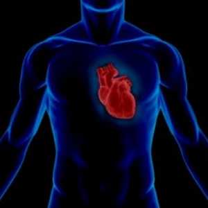 Statistika kardio vaskularnega sistema
