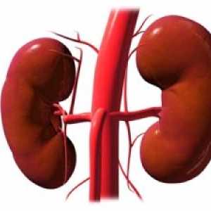 Stenoza in okluzija ledvičnih arterij: simptomi, vzroki, zdravljenje, simptomi