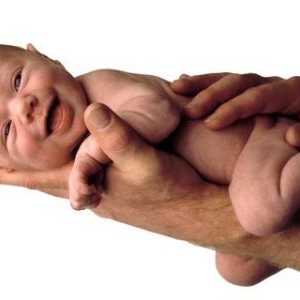 Prezgodnji porod in indikacije za carskim rezom med nosečnostjo in porodom ..