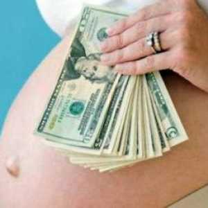 Danes surrogacy stroški bistveno zmanjšalo. Zakonodajna ureditev nadomestnega materinstva