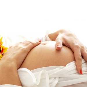 Nadomestno materinstvo: prednosti in slabosti. Nadomestno materinstvo: za ali proti?