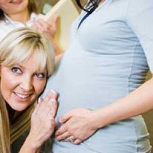 Nadomestno materinstvo. Surrogacy iz psiholog vidika