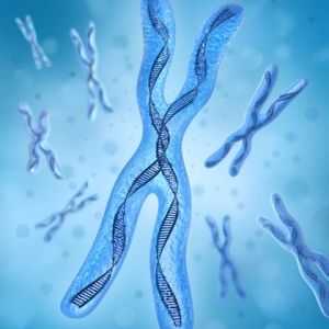 Trisomija kromosoma 13