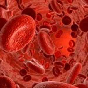 Trombocitopenija: Zdravljenje, vzroki, simptomi, znaki