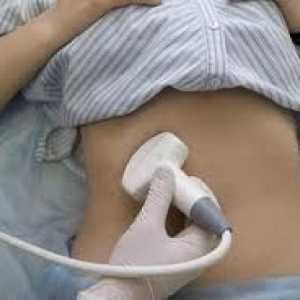 Ultrazvok (ultrazvočna diagnostika) trebušne slinavke, stopnja velikosti telesa