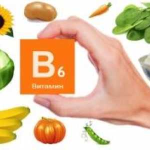 Vitamin B6: odpoved, presnovna motnja